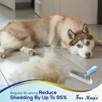 Communicates a quantifiable performance claim that regular brushing with this product reduces pet shedding by up to 95%, reassuring pet owners of its effectiveness. Highlights the primary benefit of…