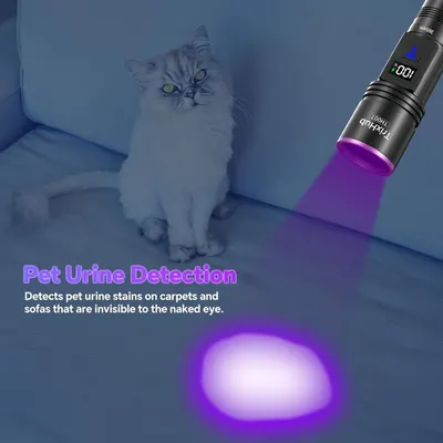 Demonstrates the flashlight's UV capability to detect invisible pet urine stains on carpets and furniture, showing a practical use case for pet owners.