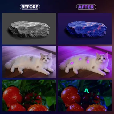 Demonstrates the product's ability to reveal hidden details or substances under UV/blacklight that are invisible to the naked eye, proving its effectiveness for detection applications.