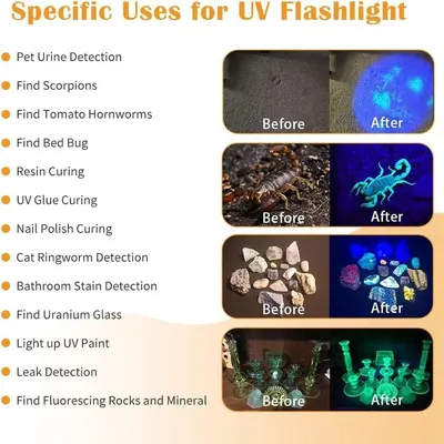 Demonstrates the multiple use cases and applications of the UV flashlight across various scenarios including pet care, pest detection, crafting, and household maintenance to show versatility.