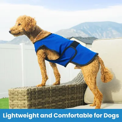 Communicates that the dog cooling vest is lightweight and comfortable for dogs to wear, reassuring pet owners that their dogs will be at ease.