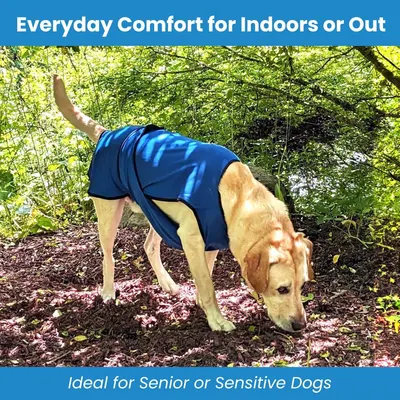 Demonstrates the versatility of the cooling vest for everyday comfort in multiple environments and highlights its suitability for senior or sensitive dogs.