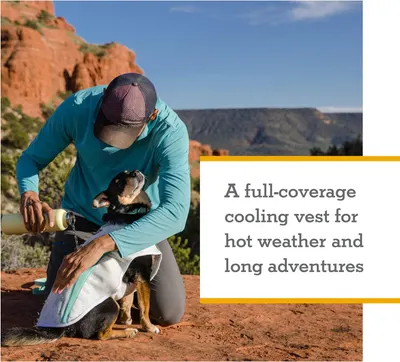 Communicates that the vest provides full-coverage cooling for dogs during hot weather and long outdoor adventures.