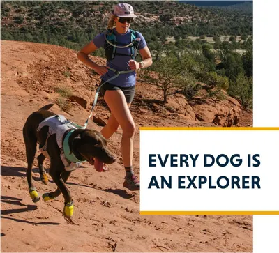 Shows the product in use during an outdoor adventure, helping shoppers visualize their dog enjoying active exploration.