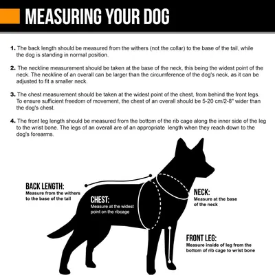 Provides detailed instructions on how to measure a dog's back length, neck, chest, and front leg to ensure the correct harness size is selected.