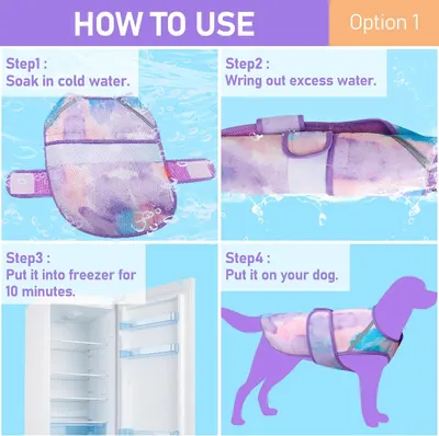 Provides step-by-step instructions on how to activate and use the cooling vest for dogs.