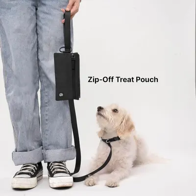 Highlights the removable treat pouch feature that attaches to the leash, demonstrating convenience for dog training and walks.