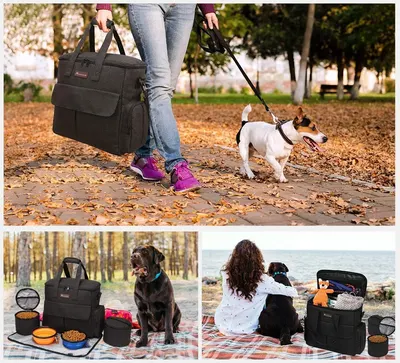 Demonstrates multiple real-world use scenarios for the dog travel bag to show its versatility across different outdoor activities and environments.
