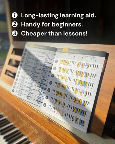 Highlights three key selling points in a numbered list: durability as a learning aid, suitability for beginners, and value compared to lessons.