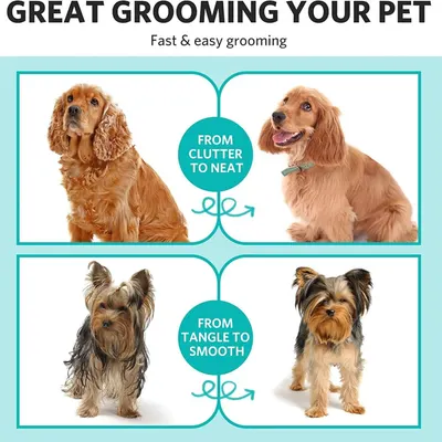 Displays the transformation results from using the grooming tool, showing before and after comparisons to prove effectiveness and reassure shoppers of visible results.