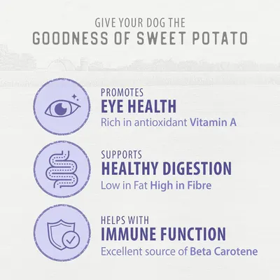 Highlights three distinct health benefits of sweet potato for dogs: promotes eye health through Vitamin A, supports healthy digestion with high fiber, and helps immune function via Beta Carotene.