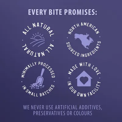 Showcases four key brand promises in a segmented layout: all natural ingredients, North American sourcing, minimal processing in small batches, and made with care in their own facility.