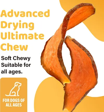Highlights the soft, chewy texture and all-ages suitability of the treat to reassure shoppers that it is safe and enjoyable for dogs of any age.