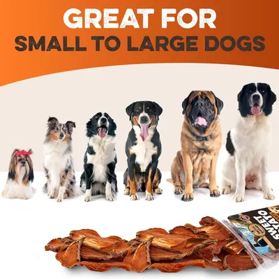 Demonstrates that the product is suitable for dogs of all sizes, from small to large breeds, reassuring customers of its universal appeal.
