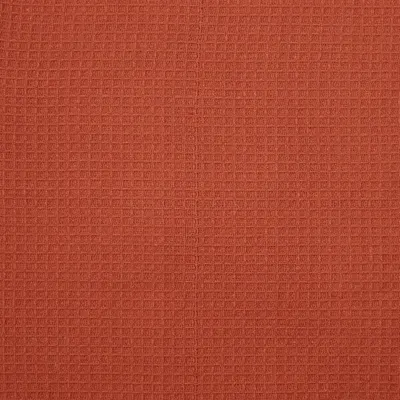 DII image 4: White Background Images