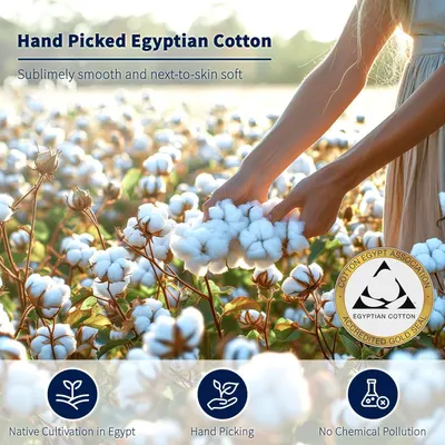 Showcases multiple benefits of the Egyptian cotton sourcing process through a segmented layout with icons, emphasizing quality, sustainability, and purity.