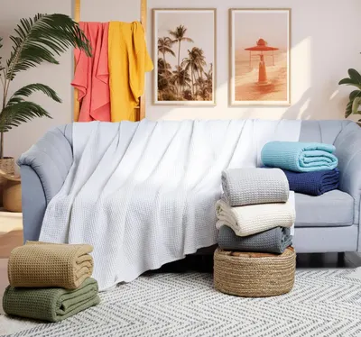 Displays the brand's full product lineup and available color options to help shoppers understand the variety and range of blankets offered by the brand.