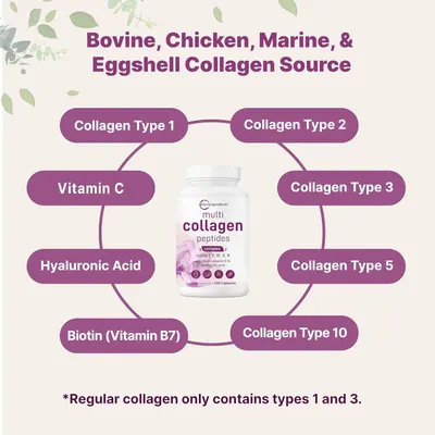 Breaks down the product's ingredient composition, showing what the supplement contains and the multiple collagen types and supporting nutrients included in…