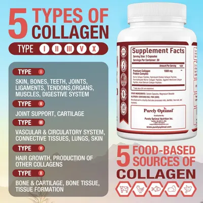 Educates shoppers on the comprehensive collagen formula by highlighting the 5 types of collagen included and their specific benefits, plus the 5 food-based sources, to communicate product…
