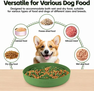 Demonstrates the product's versatility by showing multiple food types it accommodates: canned food, dry dog food, freeze-dried food, minced meat, and wet dog food, suitable for various dog sizes and…