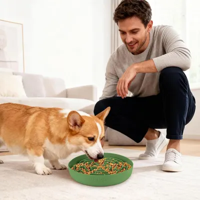 Shows the product in a real-world home setting with a dog eating from the bowl while the owner watches, demonstrating natural usage context.
