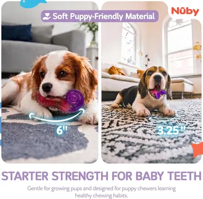 Shows the physical size of the teether toys with exact measurements to help shoppers understand the product dimensions for different puppy sizes. Communicates that the product is made with gentle,…