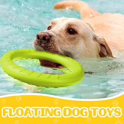 Shows the product in a real-world water play context with a dog swimming, demonstrating its floating capability and suitability for pool or water activities.