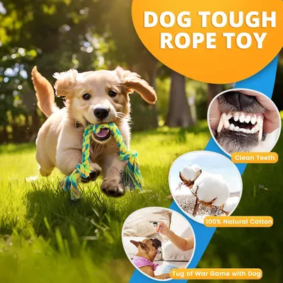 Showcases multiple benefits of the rope toy in a segmented layout with callout circles, emphasizing dental health, natural materials, interactive play, and durability.