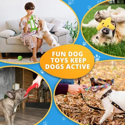 Demonstrates multiple use scenarios for the dog toys across different environments (indoor, outdoor, various settings), showing versatility and how the toys keep dogs active in different contexts.