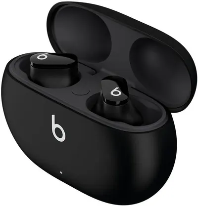 Shows the earbuds and open charging case on a clean catalog background with no added text.