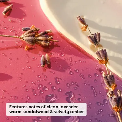 One calming scene with a single scent caption tells shoppers the cream smells of clean lavender with warm woody notes.