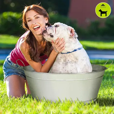 Shows a real-world scene of a woman and bulldog enjoying an outdoor bath in the galvanized tub, conveying a fun and relaxed pet bathing experience.