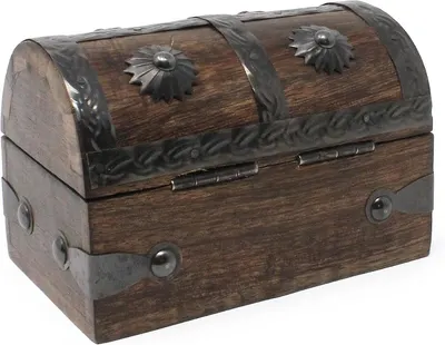 Shows the chest from the front side to display its domed lid and decorative hardware.