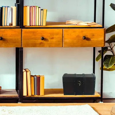 Shows the chest styled on a bookshelf in a living space so shoppers can visualize decorative use.
