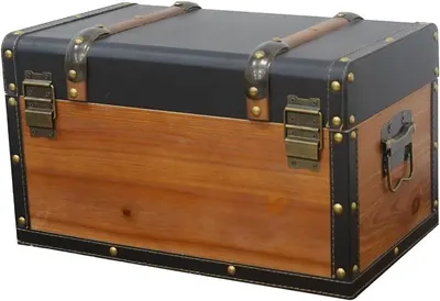 Shows the side latches and sturdy construction that keep the trunk closed and secure.