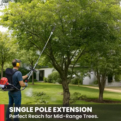 Shows the single pole extension reaching mid-height tree branches to reassure shoppers about its reach.