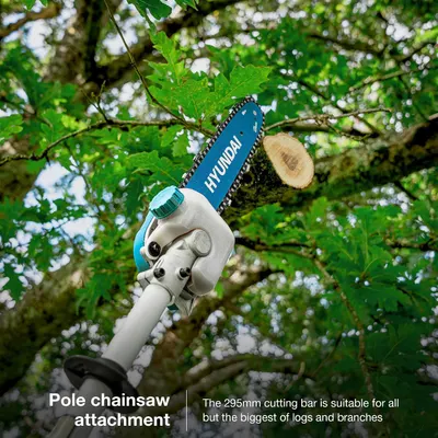 Shows the pole chainsaw attachment cutting high branches and communicates its capability for all but the largest logs.