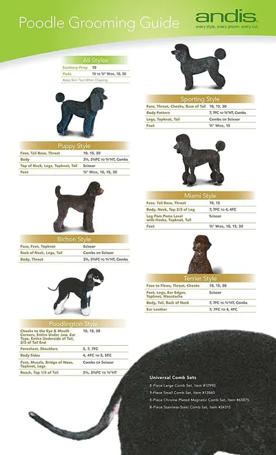 Guides owners on which clipper blades and comb settings to use for each poodle clip style.