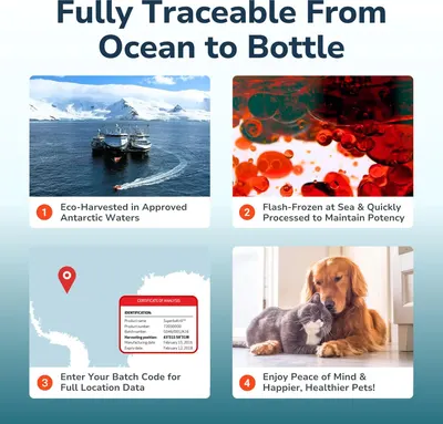 Walks shoppers through a four-step sourcing journey to prove the product is traceable and high quality. Shows the batch certificate of analysis as a traceability detail.