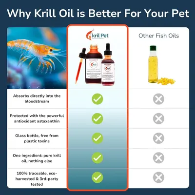 Shows Krill Pet outperforms other fish oils on absorption, antioxidant protection, packaging, purity, and traceability.