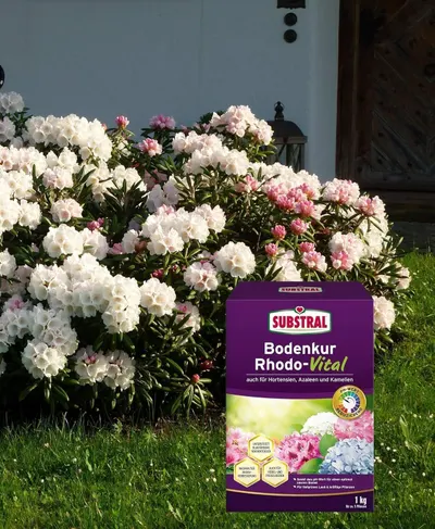 Shows the product packaging placed in a garden with blooming rhododendrons to suggest a natural outdoor setting.