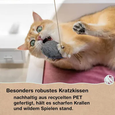 Secondary Images for Samtpfote® Katzenangel