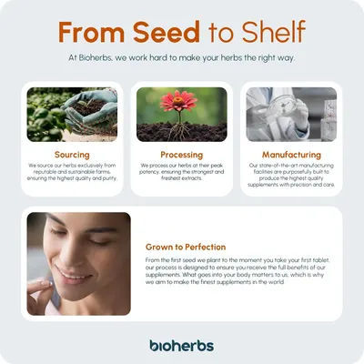 Secondary Images for BioHerbs Echinacea Tablets High Strength