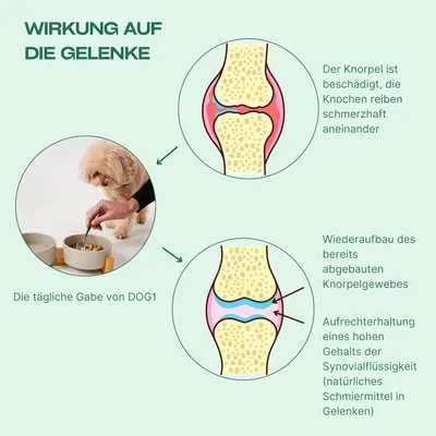 Secondary Images for DOG1 8-in-1 Nahrungsergänzungsmittel Hund (1x) mit Vitamin B Komplex und Glucosamin