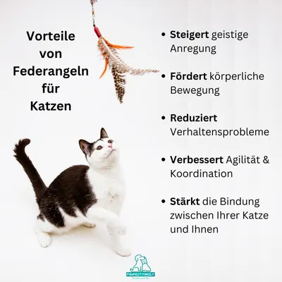 Secondary Images for Pawfect Family® Interaktives Katzenspielzeug Set