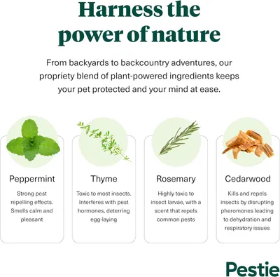 Secondary Images for Amazon.com : Pestie Flea & Tick Treatment for Pets
