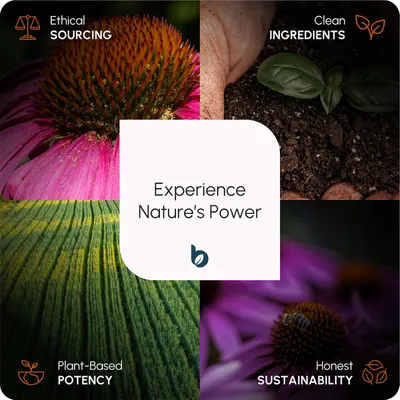 Secondary Images for BioHerbs Echinacea Tablets High Strength