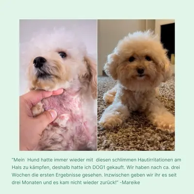 Secondary Images for DOG1 8-in-1 Nahrungsergänzungsmittel Hund (1x) mit Vitamin B Komplex und Glucosamin