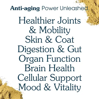 Secondary Images for Amazon.com : All-in-One Dog Supplement for Advanced Wellness & Longevity
