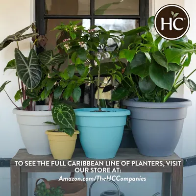 Secondary Images for Amazon.com: The HC Companies 12 Inch Caribbean Planter